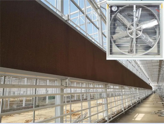 Gran ventilador de escape de flujo de aire para el sistema de ventilación de la casa de aves de corral de invernadero 60KG