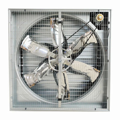 380/220V Industria avícola Ventilación de invernaderos Ventilador de escape y almohadilla de enfriamiento
