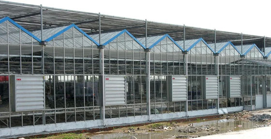 380/220V Industria avícola Ventilación de invernaderos Ventilador de escape y almohadilla de enfriamiento